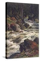 River and Moss-Ernst Heyn-Stretched Canvas