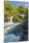 River and Stone Bridge, Rize, Black Sea Region of Turkey-Ali Kabas-Mounted Photographic Print