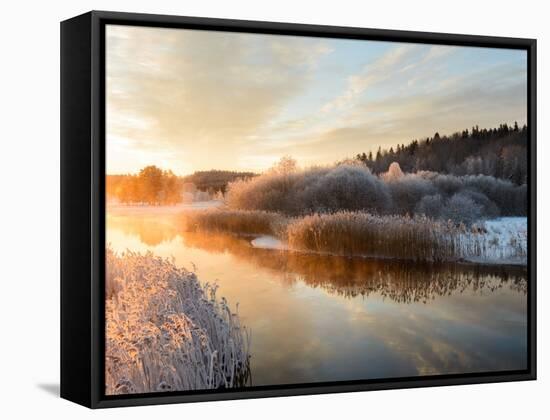 River and Trees in Winter, Storån, Åtvidaberg, Östergötland, Sweden-Utterström Photography-Framed Stretched Canvas