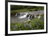 River and Waterfall in Hveragerdi, Reykjanes Peninsula, Iceland, Polar Regions-Yadid Levy-Framed Photographic Print