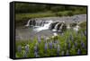 River and Waterfall in Hveragerdi, Reykjanes Peninsula, Iceland, Polar Regions-Yadid Levy-Framed Stretched Canvas