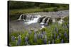 River and Waterfall in Hveragerdi, Reykjanes Peninsula, Iceland, Polar Regions-Yadid Levy-Stretched Canvas