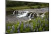 River and Waterfall in Hveragerdi, Reykjanes Peninsula, Iceland, Polar Regions-Yadid Levy-Mounted Photographic Print