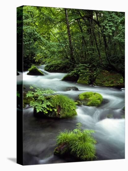 River Aomori Japan-null-Stretched Canvas