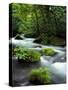 River Aomori Japan-null-Stretched Canvas