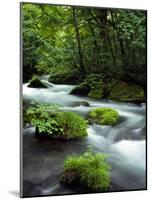 River Aomori Japan-null-Mounted Photographic Print