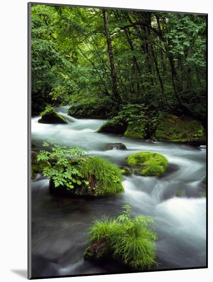 River Aomori Japan-null-Mounted Photographic Print