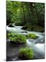 River Aomori Japan-null-Mounted Photographic Print