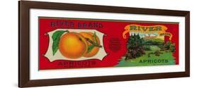 River Apricot Label - San Francisco, CA-Lantern Press-Framed Art Print