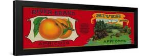 River Apricot Label - San Francisco, CA-Lantern Press-Framed Art Print