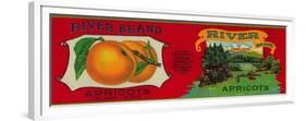 River Apricot Label - San Francisco, CA-Lantern Press-Framed Premium Giclee Print