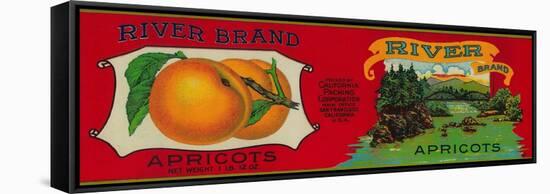 River Apricot Label - San Francisco, CA-Lantern Press-Framed Stretched Canvas