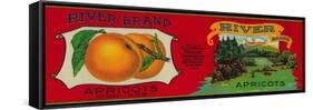 River Apricot Label - San Francisco, CA-Lantern Press-Framed Stretched Canvas