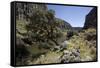 River Apurimac in the Andes, Peru, South America-Peter Groenendijk-Framed Stretched Canvas