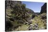 River Apurimac in the Andes, Peru, South America-Peter Groenendijk-Stretched Canvas