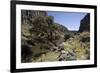 River Apurimac in the Andes, Peru, South America-Peter Groenendijk-Framed Photographic Print