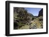 River Apurimac in the Andes, Peru, South America-Peter Groenendijk-Framed Photographic Print