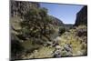 River Apurimac in the Andes, Peru, South America-Peter Groenendijk-Mounted Photographic Print