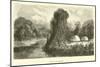 River at Pachiri-Édouard Riou-Mounted Giclee Print