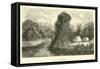 River at Pachiri-Édouard Riou-Framed Stretched Canvas