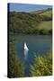 River Avon Bigbury with white sailboat-Charles Bowman-Stretched Canvas