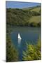River Avon Bigbury with white sailboat-Charles Bowman-Mounted Photographic Print