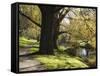 River Avon in Botanic Gardens, Christchurch, Canterbury, South Island, New Zealand, Pacific-Nick Servian-Framed Stretched Canvas