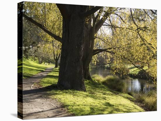 River Avon in Botanic Gardens, Christchurch, Canterbury, South Island, New Zealand, Pacific-Nick Servian-Stretched Canvas