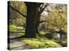 River Avon in Botanic Gardens, Christchurch, Canterbury, South Island, New Zealand, Pacific-Nick Servian-Stretched Canvas