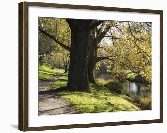 River Avon in Botanic Gardens, Christchurch, Canterbury, South Island, New Zealand, Pacific-Nick Servian-Framed Photographic Print