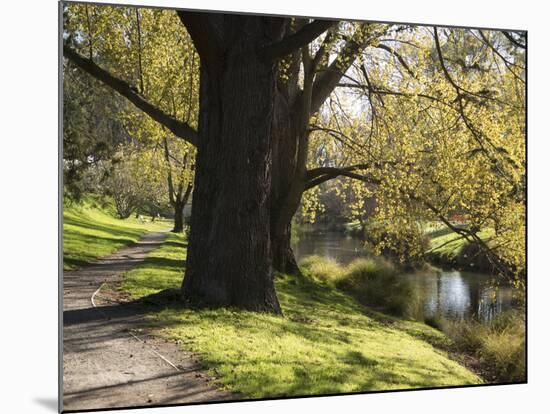 River Avon in Botanic Gardens, Christchurch, Canterbury, South Island, New Zealand, Pacific-Nick Servian-Mounted Photographic Print