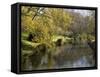 River Avon in Botanic Gardens, Christchurch, Canterbury, South Island, New Zealand, Pacific-Nick Servian-Framed Stretched Canvas