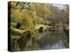 River Avon in Botanic Gardens, Christchurch, Canterbury, South Island, New Zealand, Pacific-Nick Servian-Stretched Canvas