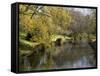 River Avon in Botanic Gardens, Christchurch, Canterbury, South Island, New Zealand, Pacific-Nick Servian-Framed Stretched Canvas