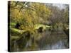 River Avon in Botanic Gardens, Christchurch, Canterbury, South Island, New Zealand, Pacific-Nick Servian-Stretched Canvas