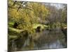 River Avon in Botanic Gardens, Christchurch, Canterbury, South Island, New Zealand, Pacific-Nick Servian-Mounted Photographic Print