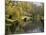 River Avon in Botanic Gardens, Christchurch, Canterbury, South Island, New Zealand, Pacific-Nick Servian-Mounted Photographic Print