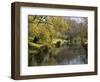 River Avon in Botanic Gardens, Christchurch, Canterbury, South Island, New Zealand, Pacific-Nick Servian-Framed Photographic Print