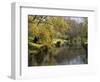 River Avon in Botanic Gardens, Christchurch, Canterbury, South Island, New Zealand, Pacific-Nick Servian-Framed Photographic Print