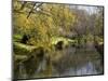 River Avon in Botanic Gardens, Christchurch, Canterbury, South Island, New Zealand, Pacific-Nick Servian-Mounted Photographic Print