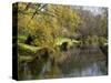 River Avon in Botanic Gardens, Christchurch, Canterbury, South Island, New Zealand, Pacific-Nick Servian-Stretched Canvas