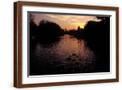Brown Frame