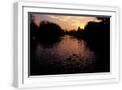White Frame