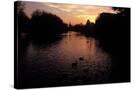 Stretched Canvas