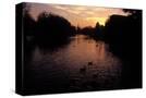 Stretched Canvas