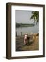 River Bank of Perfume River, Hue, Thua Thien Hue Province, Vietnam, Indochina, Southeast Asia, Asia-Nathalie Cuvelier-Framed Photographic Print