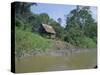 River Bank Settlement, Amazon, Peru, South America-Derek Furlong-Stretched Canvas