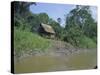 River Bank Settlement, Amazon, Peru, South America-Derek Furlong-Stretched Canvas