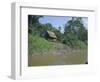River Bank Settlement, Amazon, Peru, South America-Derek Furlong-Framed Photographic Print