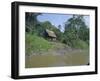 River Bank Settlement, Amazon, Peru, South America-Derek Furlong-Framed Photographic Print